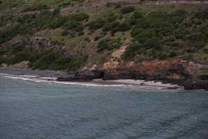 HARINGTON-POINT-DUNEDIN (39)